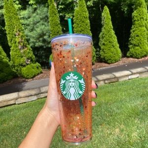 Starbucks SnowGlobe Tumbler